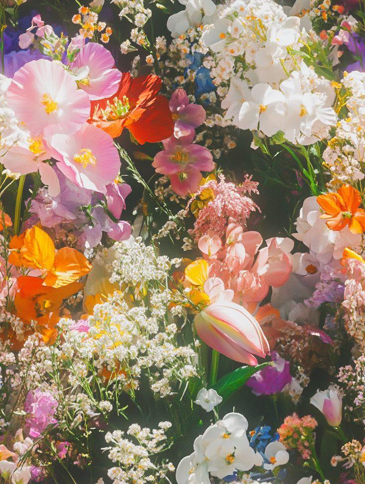 Secret Garden's Aromatic Ballet